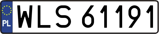 WLS61191