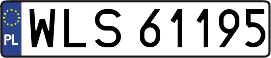WLS61195