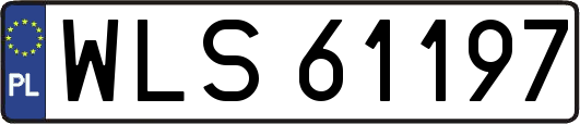 WLS61197