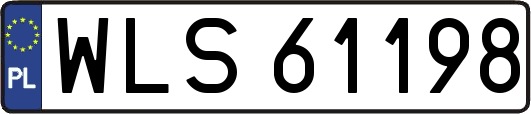 WLS61198
