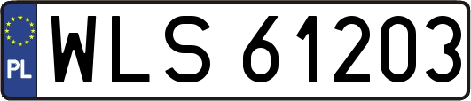 WLS61203