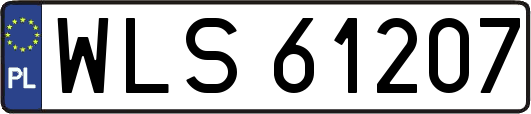 WLS61207