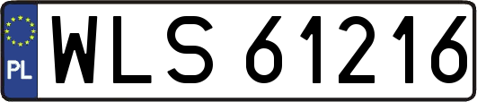 WLS61216