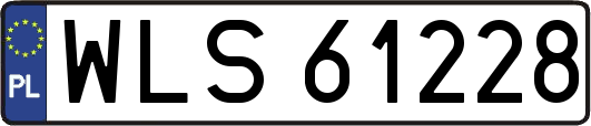 WLS61228