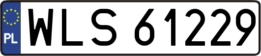 WLS61229