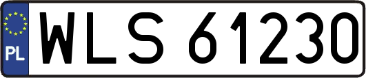 WLS61230