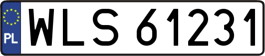 WLS61231