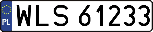 WLS61233