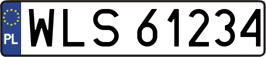 WLS61234