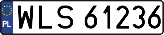 WLS61236