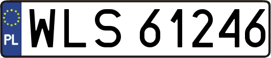 WLS61246
