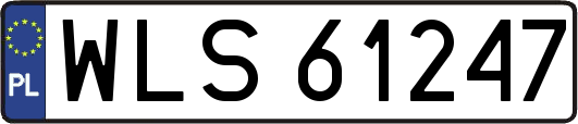 WLS61247