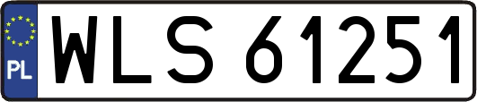 WLS61251