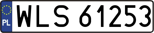 WLS61253
