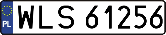 WLS61256