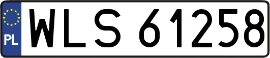 WLS61258