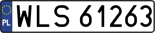 WLS61263