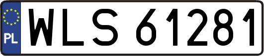 WLS61281