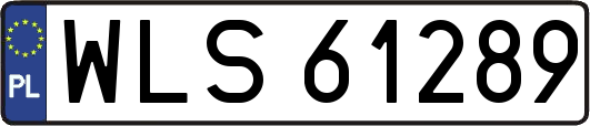 WLS61289