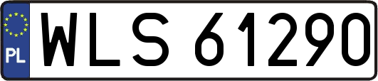 WLS61290
