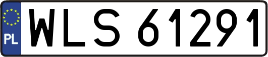 WLS61291