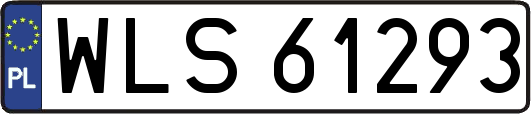 WLS61293