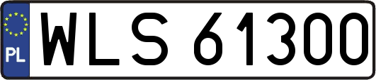 WLS61300