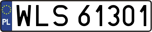 WLS61301