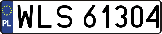 WLS61304