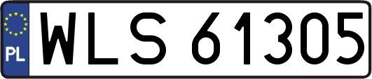 WLS61305