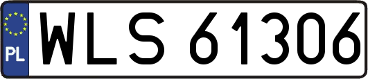 WLS61306