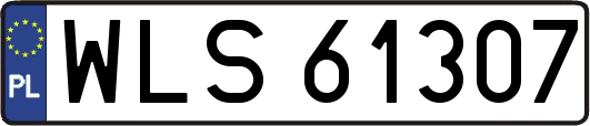 WLS61307