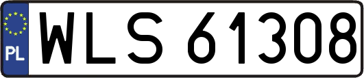 WLS61308