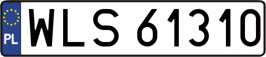 WLS61310