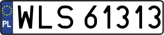 WLS61313