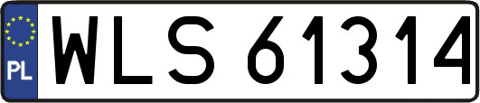 WLS61314