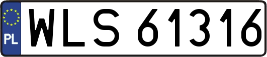 WLS61316