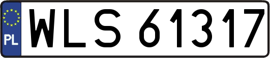 WLS61317