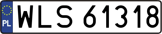 WLS61318