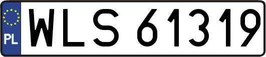 WLS61319