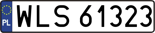 WLS61323