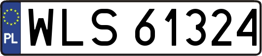 WLS61324