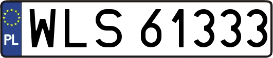 WLS61333