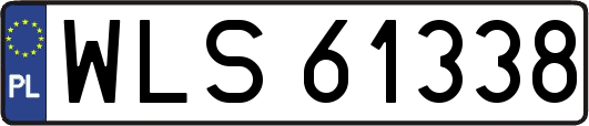 WLS61338