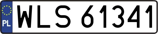 WLS61341