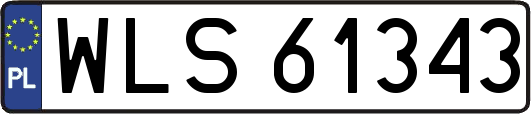 WLS61343