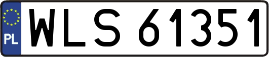 WLS61351
