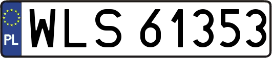 WLS61353