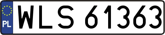 WLS61363