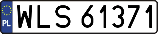 WLS61371